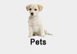 Click Here To View All Items Listed In Pets & Horses...