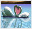 Click Here To Continue...