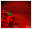 Click Here To Continue...