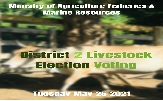 SKNVibes | District 2 Livestock Farmers Election